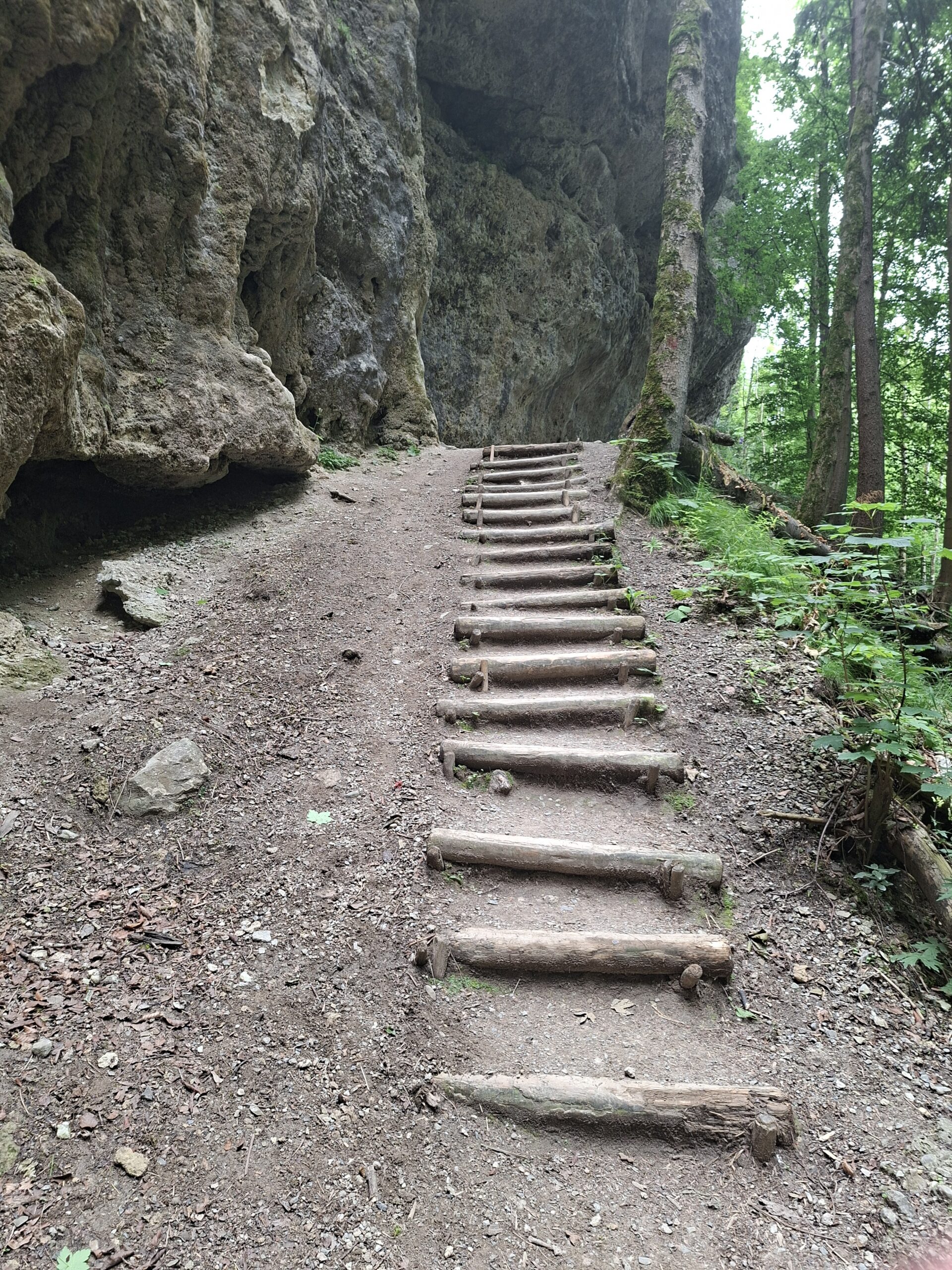 Beispiel-Bild